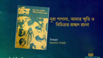 নূরা পা গ লা, আমার স্মৃতি ও বিচিত্রার প্রচ্ছদ রচনা