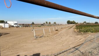 Federal judge orders release of 16 migrants detained in Idaho raid, citing due process violations