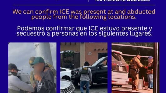 ICE detains at least 9 people in Long Beach; ramps up activity in Harbor Area