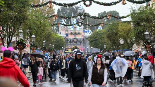 Disneyland may soon move to dynamic pricing, Disney CFO says
