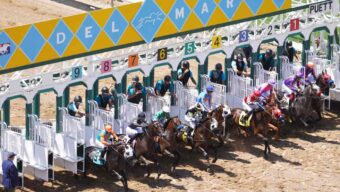 Del Mar consensus picks for Sunday, Nov. 23, 2025