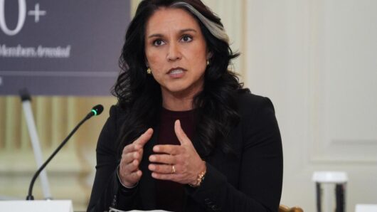 Democrats allege spy agency work is being undermined and politicized under Trump